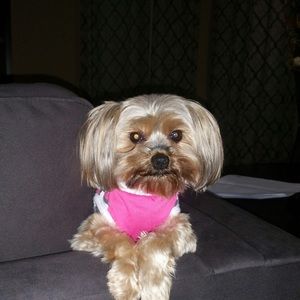 Meet your Posher, Vanessa